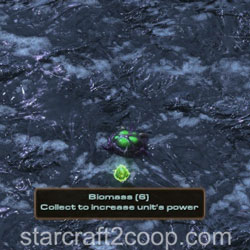 After automatic detonation of Toxic Nest