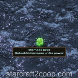 After manual detonation of Toxic Nest