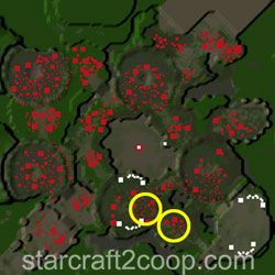 Scythe of Amon Essence Farming Order